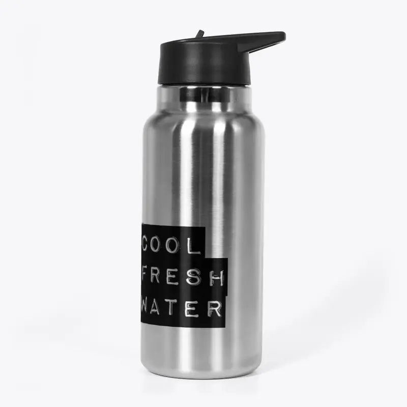 stainless water bottle